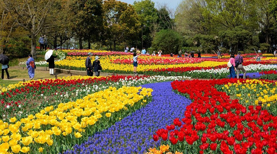 🏞️ 국영 기소 삼강 공원 기소 삼강 공원 센터(고쿠에이키소산센코엔 키소산센코엔센터) 이미지 9